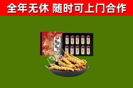 尖草坪区烟酒回收冬虫夏草礼盒.jpg
