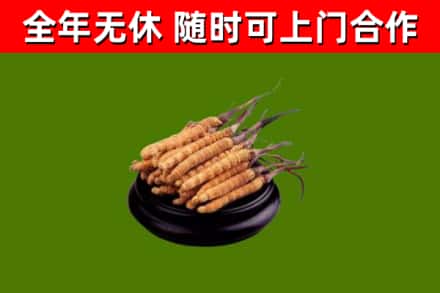 尖草坪区烟酒回收冬虫夏草.jpg